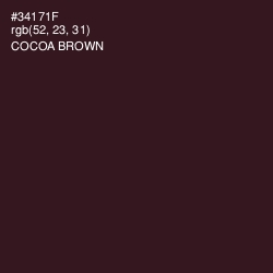 #34171F - Cocoa Brown Color Image
